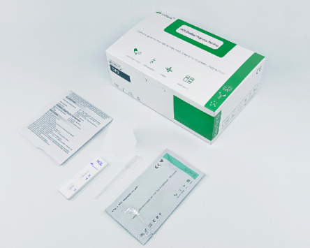 Ένα βήμα ταχεία δοκιμή εγκυμοσύνης HCG HCG